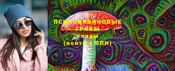 стафф Аркадак