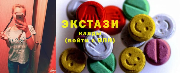 индика Лихославль