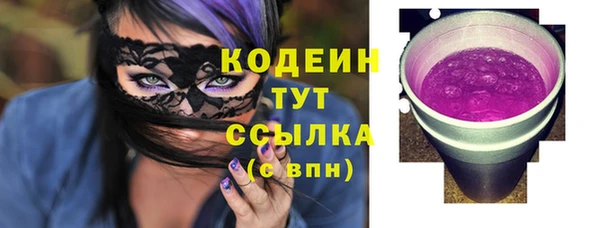 шишки Арсеньев