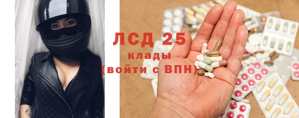 стафф Аркадак