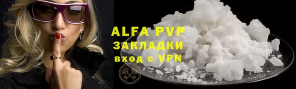 шишки Арсеньев