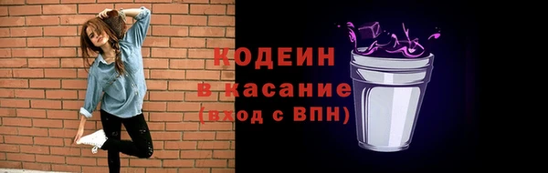 шишки Арсеньев