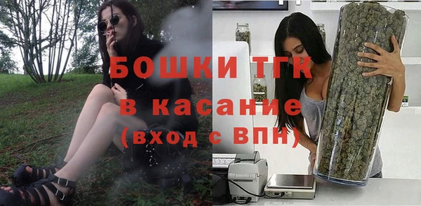 стафф Аркадак