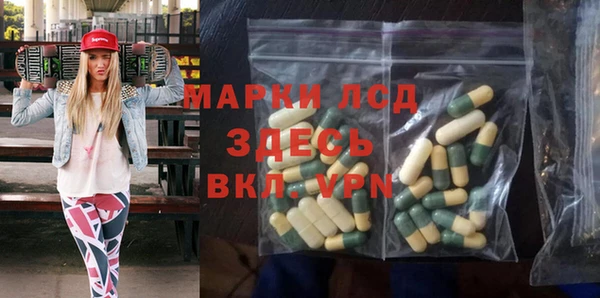 шишки Арсеньев
