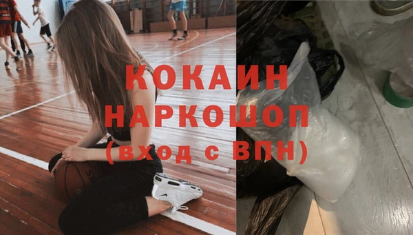шишки Арсеньев