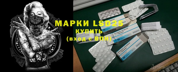 стафф Аркадак