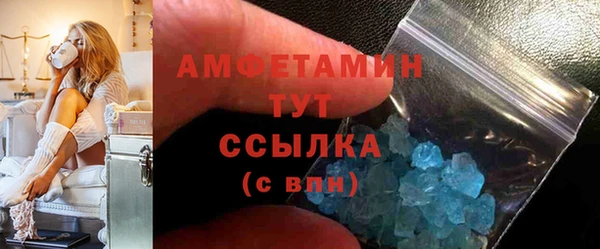 шишки Арсеньев