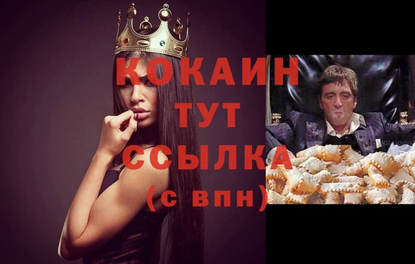 стафф Аркадак