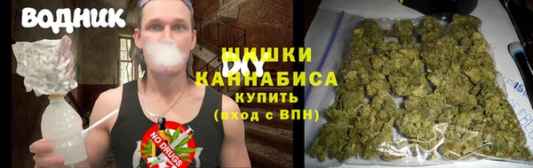 стафф Аркадак
